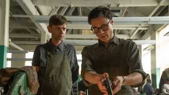 The Illustrated Woman