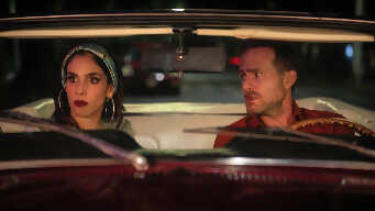 Welcome to the Chocolate Frog