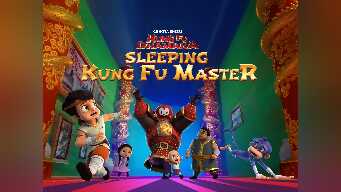 Sleeping KungFu Master