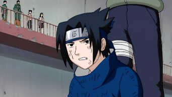 Bushy Brow’s Jealousy – Barrage of Lions Unleashed!