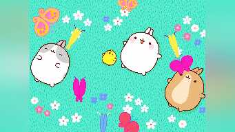 Molang : The Butterfly / The Surprise