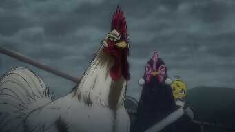 Built like a Brick Coop