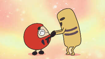 Haniwa Meets Dharma / Let's play at home / Konya Wrap is here