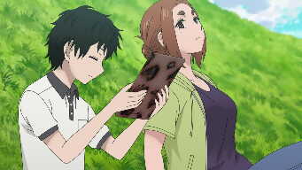 Cats, Swimsuits, and a Black Aeonium