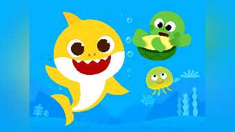 What Do You Like to Do?