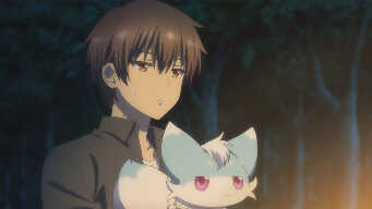 The Butterflies of Inseparable Love