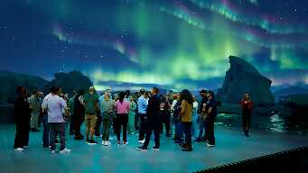 Can't See the Forest for the Trees!