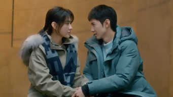 The White Olive Tree