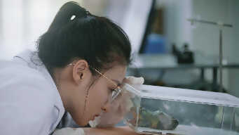 Have A Crush On You EP 36