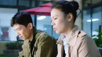 Professional Pressures