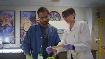 Counterfeiting Kills Economies ( And Helps Them Too)