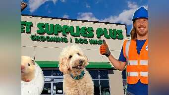 Explore a Pet Shop | Handyman Hal works at Pet Supply Plus | Learn about animals
