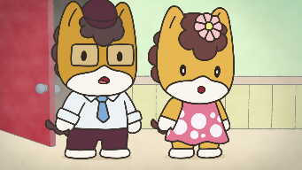 What to Do on Sunday?