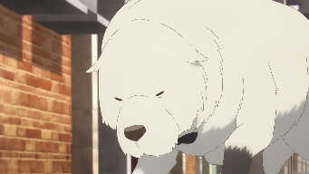 Bond's Strategy to Stay Alive / Damian's Field Research Trip