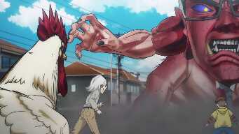 A Rooster Among Cranes