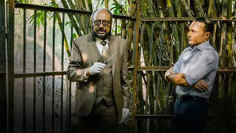 Dekha Pelem Phalguney