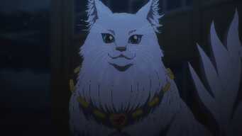 The Cat Is a Harsh Master