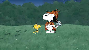 It’s a Mystery, Charlie Brown