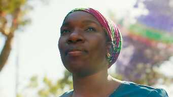 The Doctor, The Animal Rescue Worker, and the Theater Owner