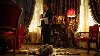 Happy New Year, Miss Sophie!