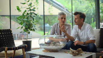 Austin: Edgeland House