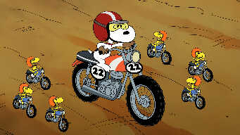 Speak Softly, and Carry a Beagle