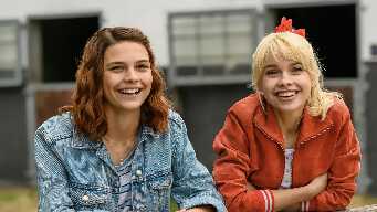 Festival for Falkenstein