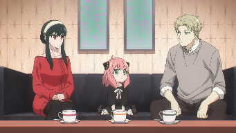 THE COUNTER-SECRET POLICE COVER OPERATION