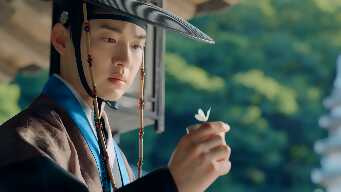 Episode 13. Cause and effect