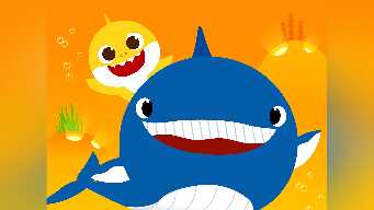 Where Are Sea Animals?