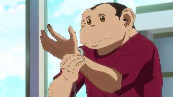 The Struggle for Rights