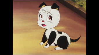 Increase Your Charm With Glasses