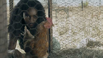 “The Day of The Girls”