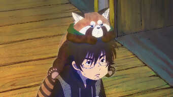 The Mad Dog and the Red Panda