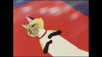 The Grand, Error-Filled Plan