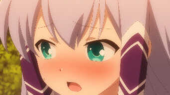 Book Collection and Café