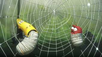 Super Glue, Swing, Growing a Plant & More