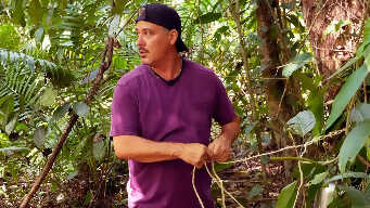 Are You Trustworthy?