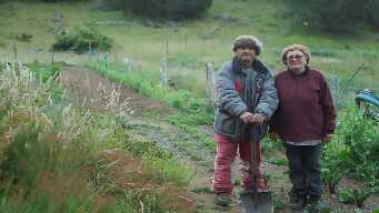 A Nightmarish Reality