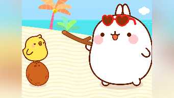 The Coconut / The Suitcase