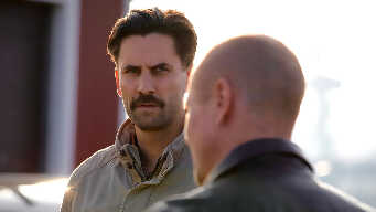 Secrets at the Harbor