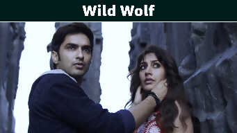 Wild Wolf