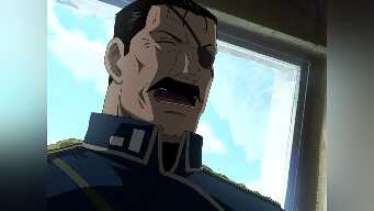 Backs in the Distance