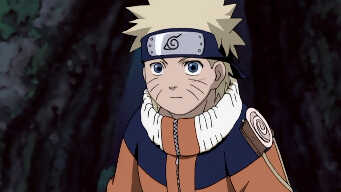 Eat or be Eaten: Panic in the Forest