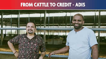 From Cattle to Credit - ADIS