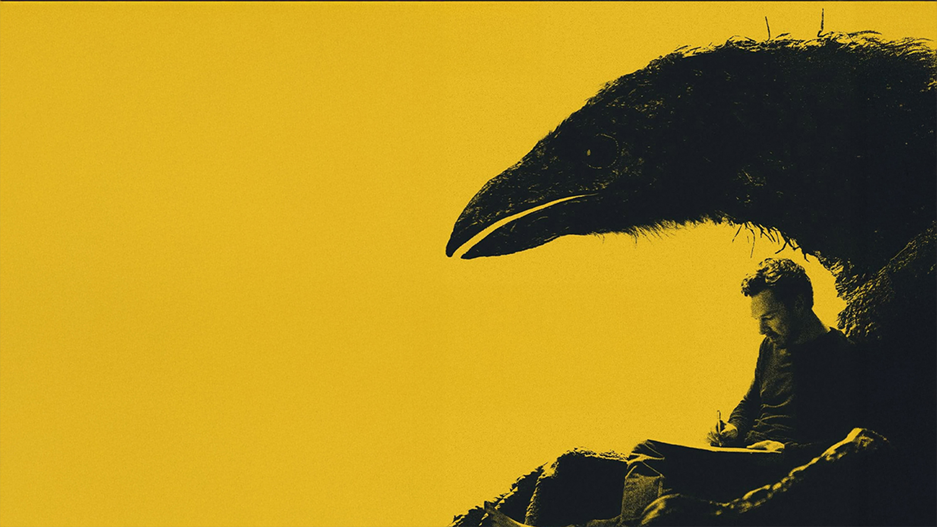 The Thing With Feathers