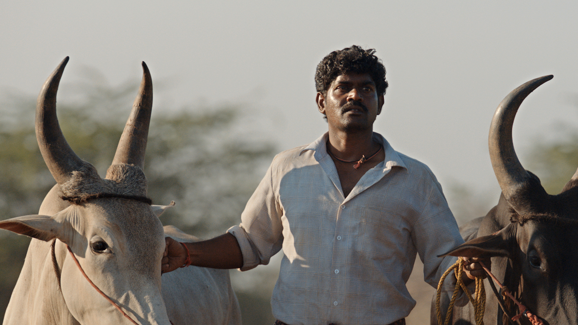 Raame Aandalum Raavane Aandalum