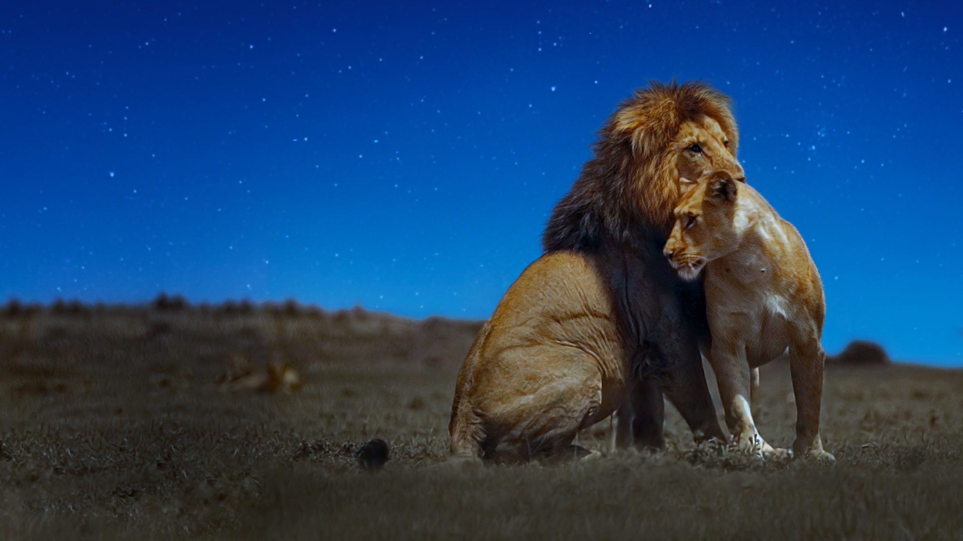 Earth at Night in Colour