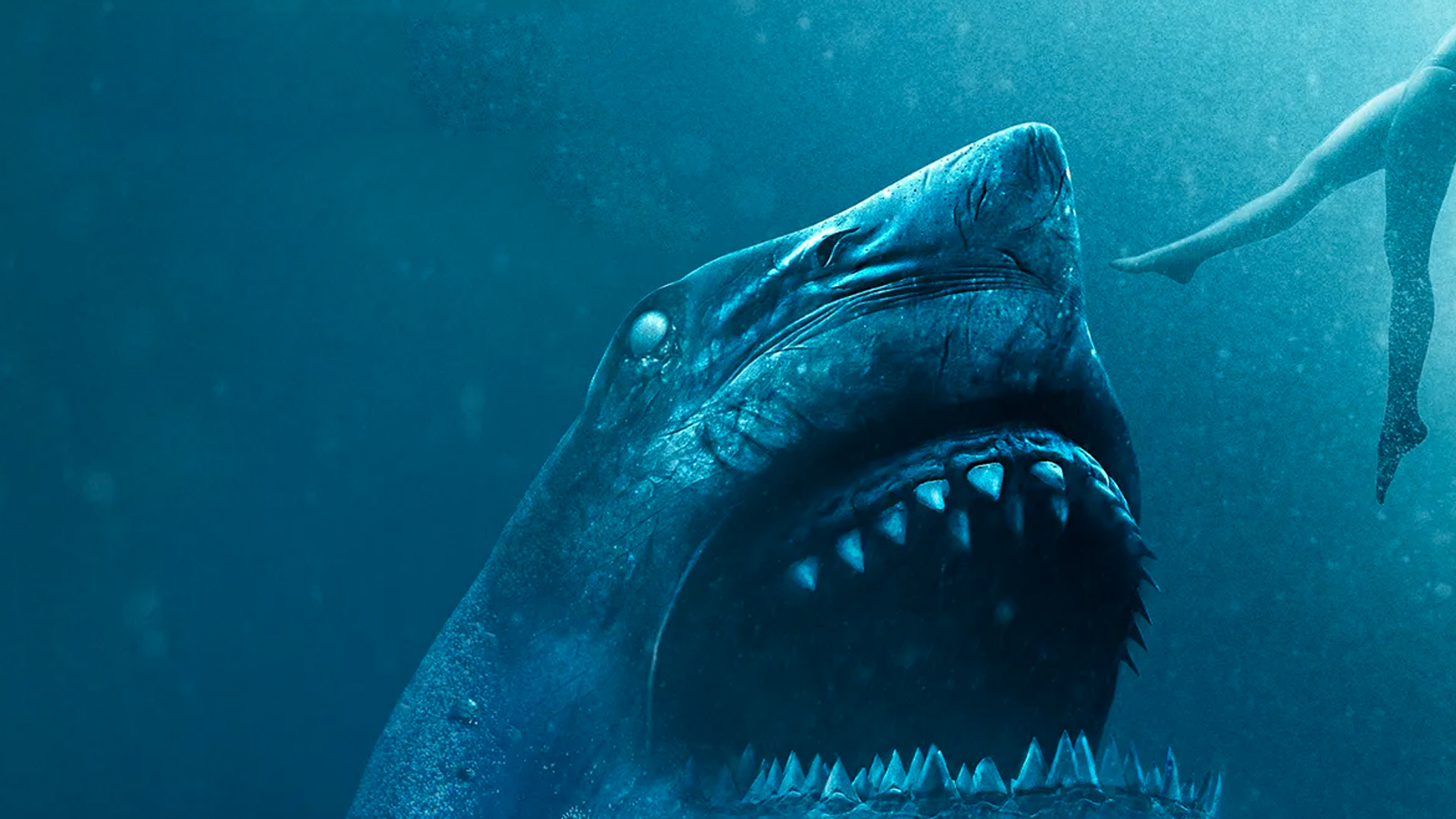 47 Meters Down: Uncaged