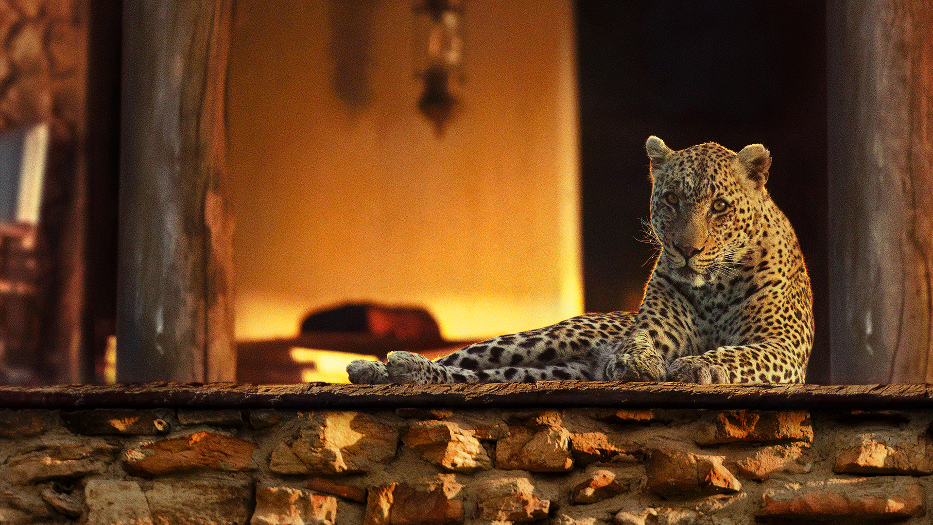 The Year Earth Changed